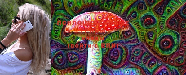 ПСИЛОЦИБИНОВЫЕ ГРИБЫ Алзамай
