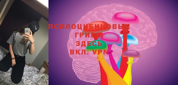 ПСИЛОЦИБИНОВЫЕ ГРИБЫ Алзамай